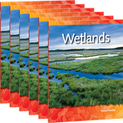 Wetlands 6-Pack