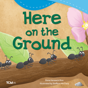 Here on the Ground ebook