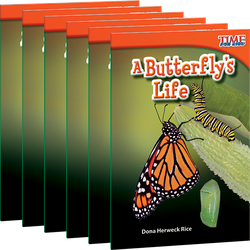 A Butterfly's Life 6-Pack