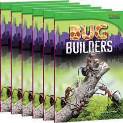 Bug Builders 6-Pack