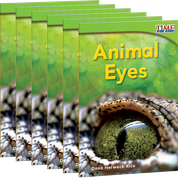 Animal Eyes 6-Pack