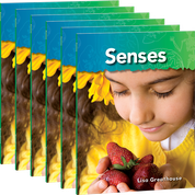 Senses 6-Pack