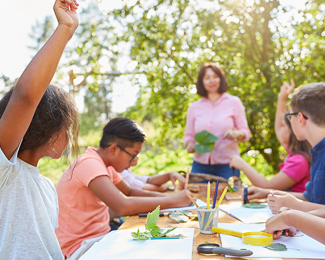 FSP_NatureBasedPlayOutdoorLearningMentalWellBeing650x520-2