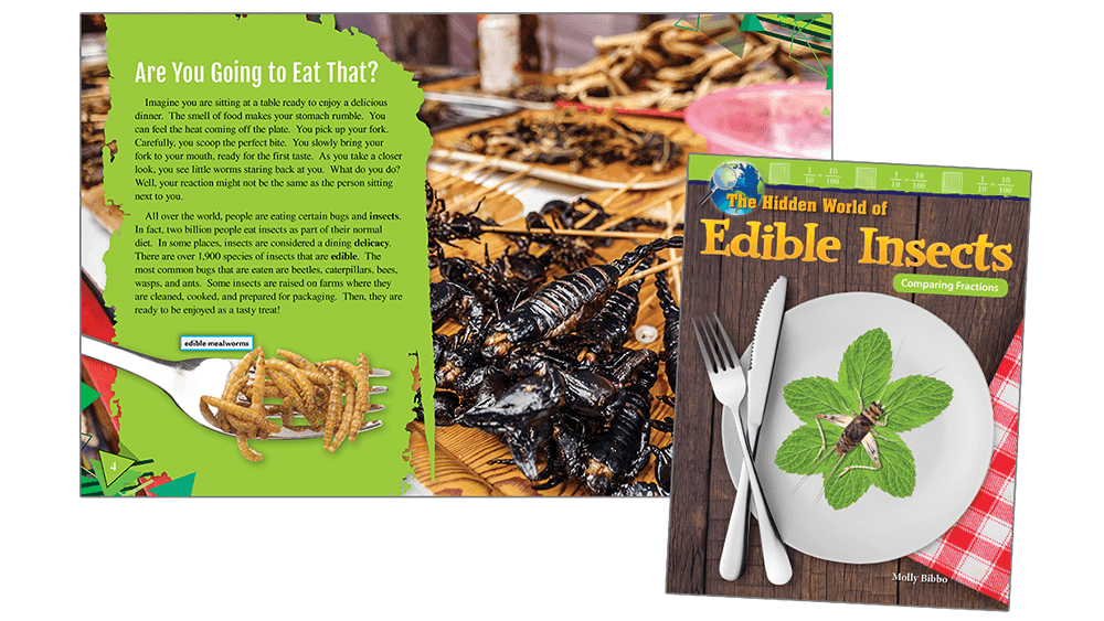Fractions Insects 5 Tips for Maximizing Your Summer Math Instruction