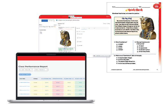 FIR-assessment