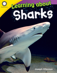 Learning about Sharks ebook