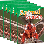Animal Senses 6-Pack
