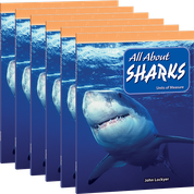 All About Sharks 6-Pack