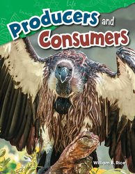 Producers and Consumers ebook