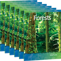 Forests 6-Pack