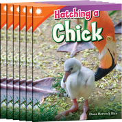 Hatching a Chick Guided Reading 6-Pack