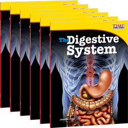 The Digestive System 6-Pack