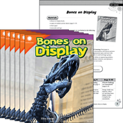 Bones on Display  6-Pack