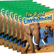 The Right Environment 6-Pack