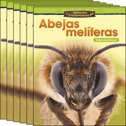 Animales asombrosos: Abejas melíferas: Valor posicional Guided Reading 6-Pack