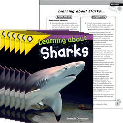 Learning about Sharks 6-Pack