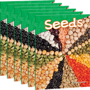 Seeds 6-Pack