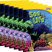 Sea Life 6-Pack
