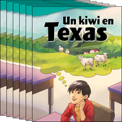 Un kiwi en Texas 6-Pack