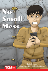 No Small Mess ebook