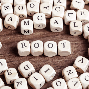 Building Vocabulary with Word Roots Builds Reading Comprehension – Part 1