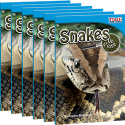Snakes Up Close 6-Pack