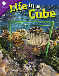 Life in a Cube ebook