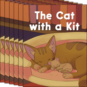 The Cat with a Kit 6-Pack