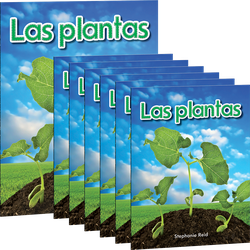 Las plantas 6-Pack