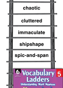 Vocabulary Ladder for Neatness