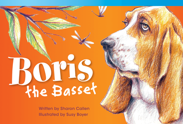 Boris the Bassett ebook