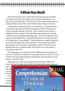 Test Prep Level 4: A Whole New World Comprehension and Critical Thinking