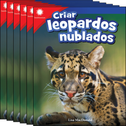 Criar leopardos nublados 6-Pack