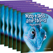 Reptiles y anfibios reptantes (Slithering Reptiles and Amphibians) 6-Pack