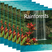 Rainforests 6-Pack