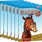 Horses Up Close 6-Pack