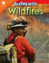 Dealing with Wildfires ebook