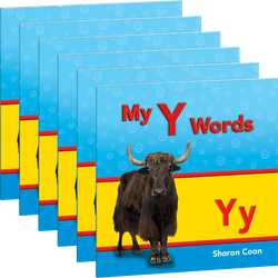 My Y Words 6-Pack
