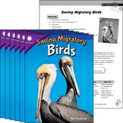 Saving Migratory Birds 6-Pack