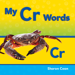 My Cr Words ebook
