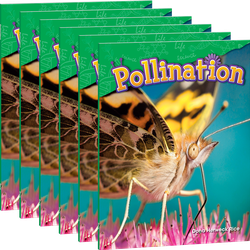 Pollination 6-Pack
