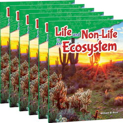 Life and Non-Life in an Ecosystem 6-Pack