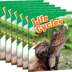 Life Cycles 6-Pack