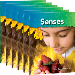 Senses 6-Pack
