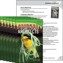 Animal Architects 6-Pack