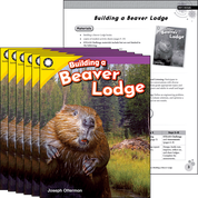 Building a Beaver Lodge 6-Pack