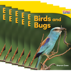Birds and Bugs 6-Pack