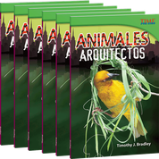 Animales arquitectos 6-Pack
