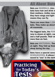 Language Arts Test Preparation Level 3: Bats on the Brink