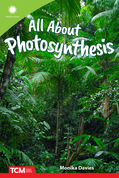 All About Photosynthesis